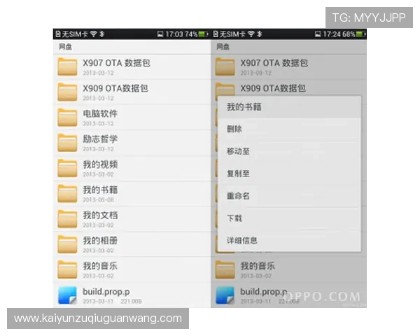 开云手机入口官网用户评价与使用心得分享与分析